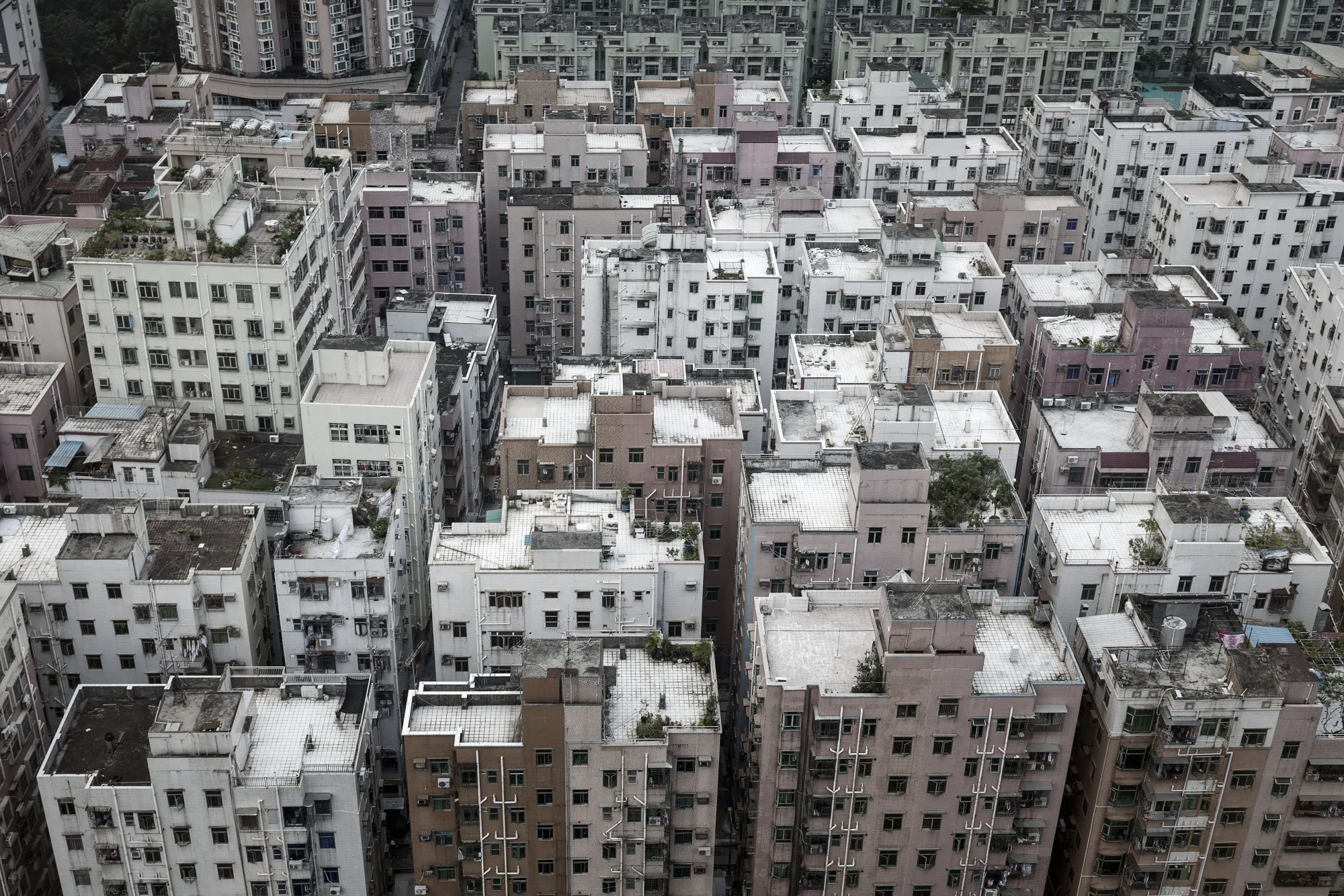 General Views of Downtown Shenzhen