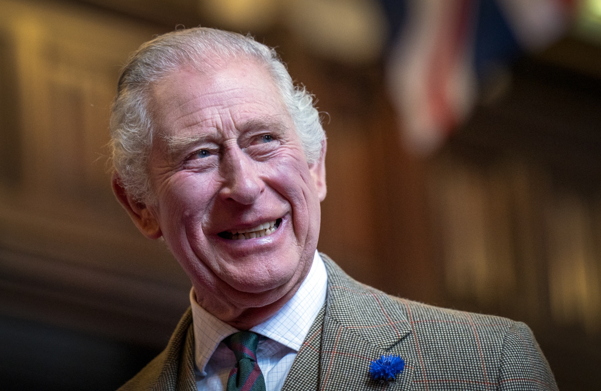 King Charles III Free to Attend COP27 in Egypt, UK Minister Says