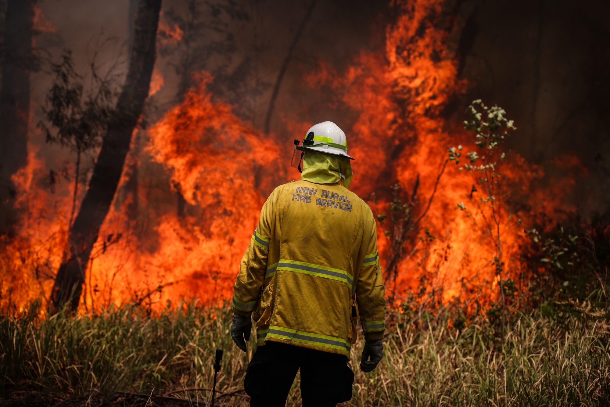 An Indigenous practice may be key to preventing wildfires