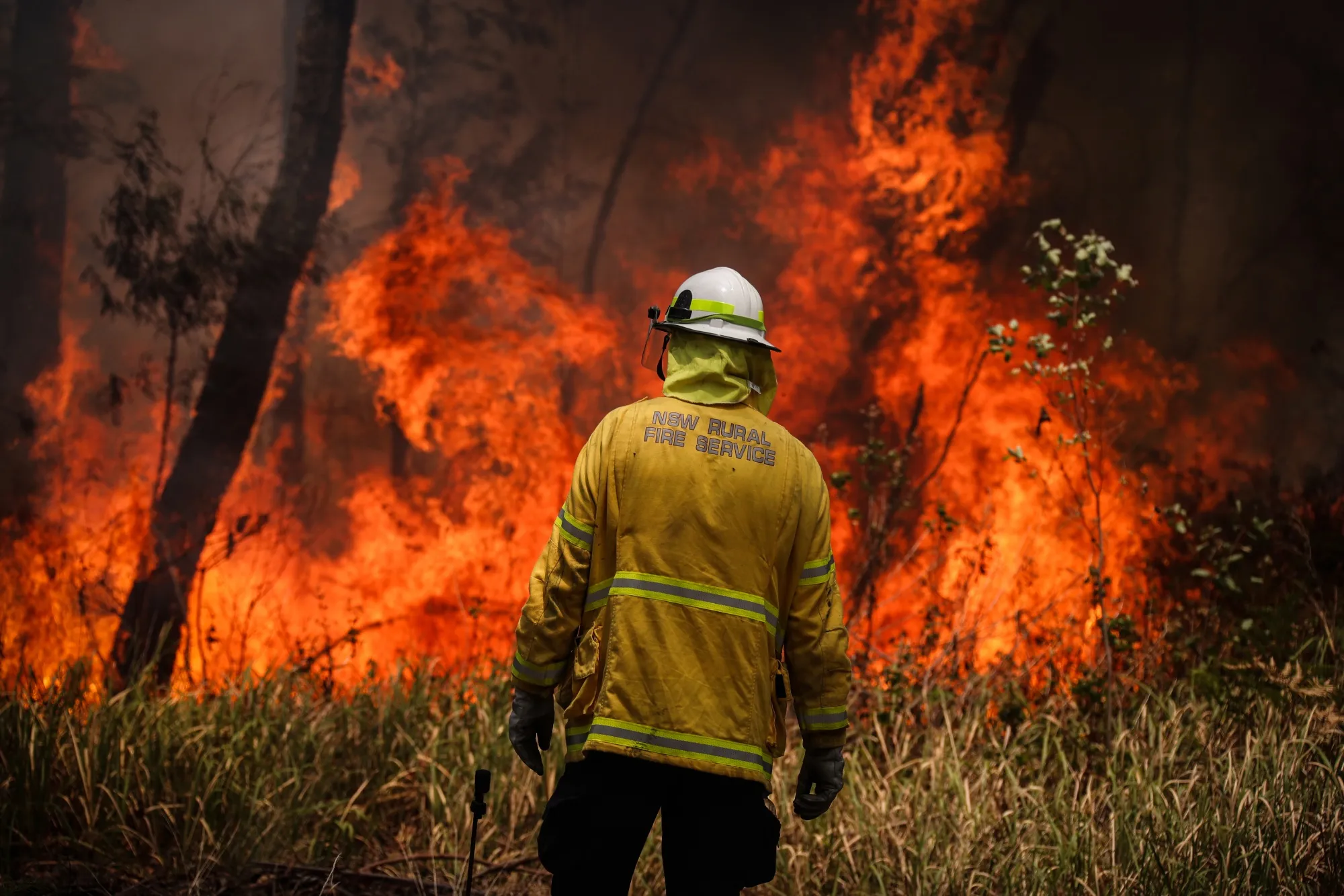 A NSW Rural Fire Service volunteer observes a fire during back-burning operations near Kulnura on Dec. 12.