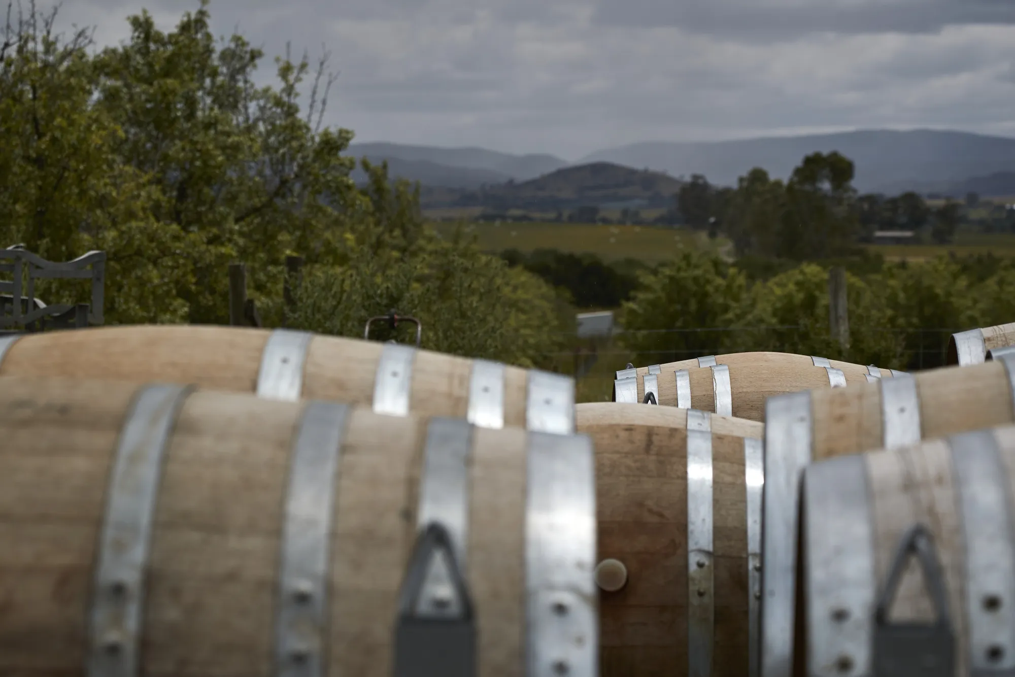 Wine barrels at a winery in the Yarra Valley, Victoria, Australia.