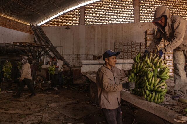 Con un flujo constante de productos de bajo costo cruzando la frontera hacia Argentina, Ortiz no se molestó en cosechar todos sus cultivos.