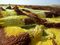 <p>Danakil Depression</p>