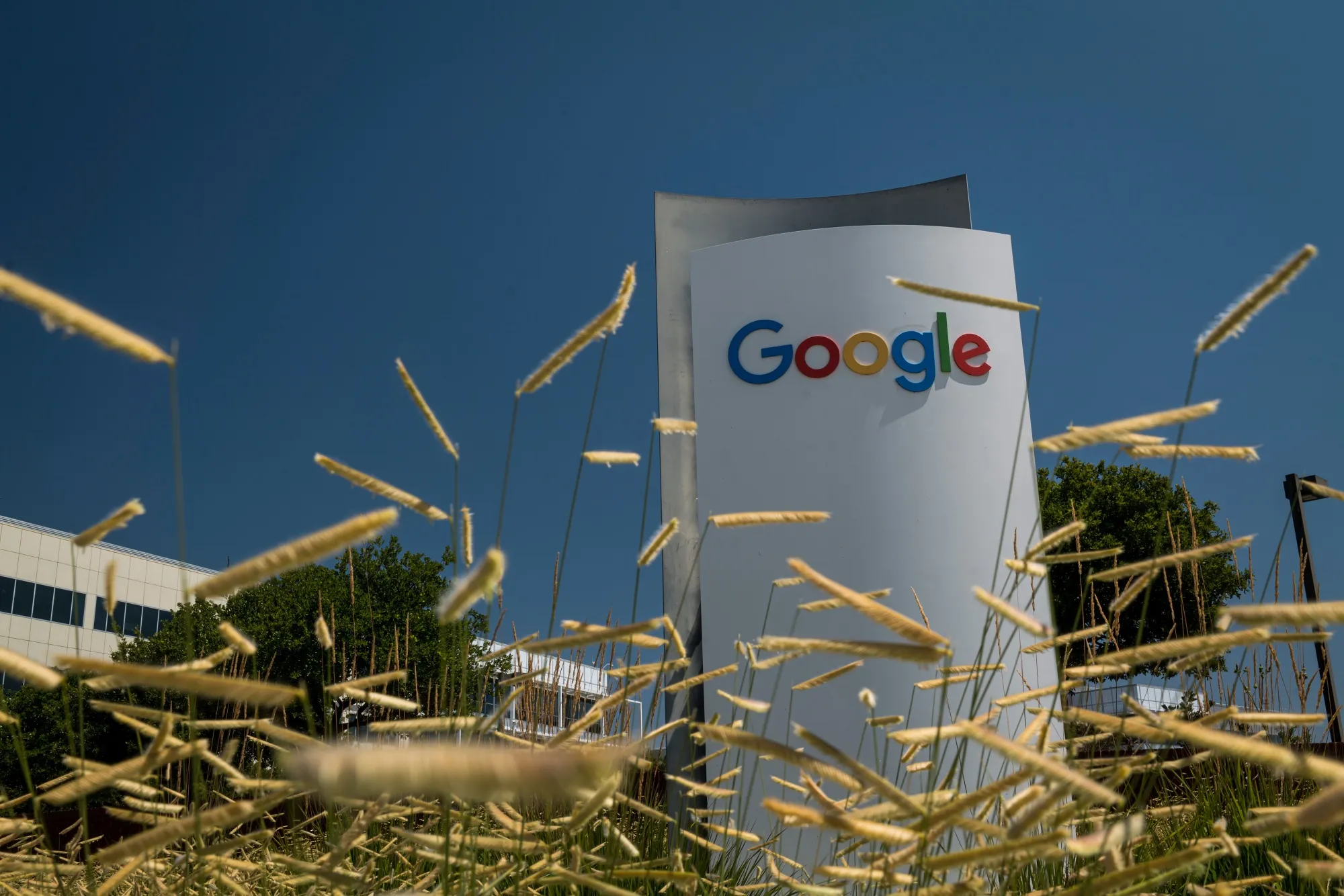 Signage outside the Google campus in Mountain View, California.&nbsp;