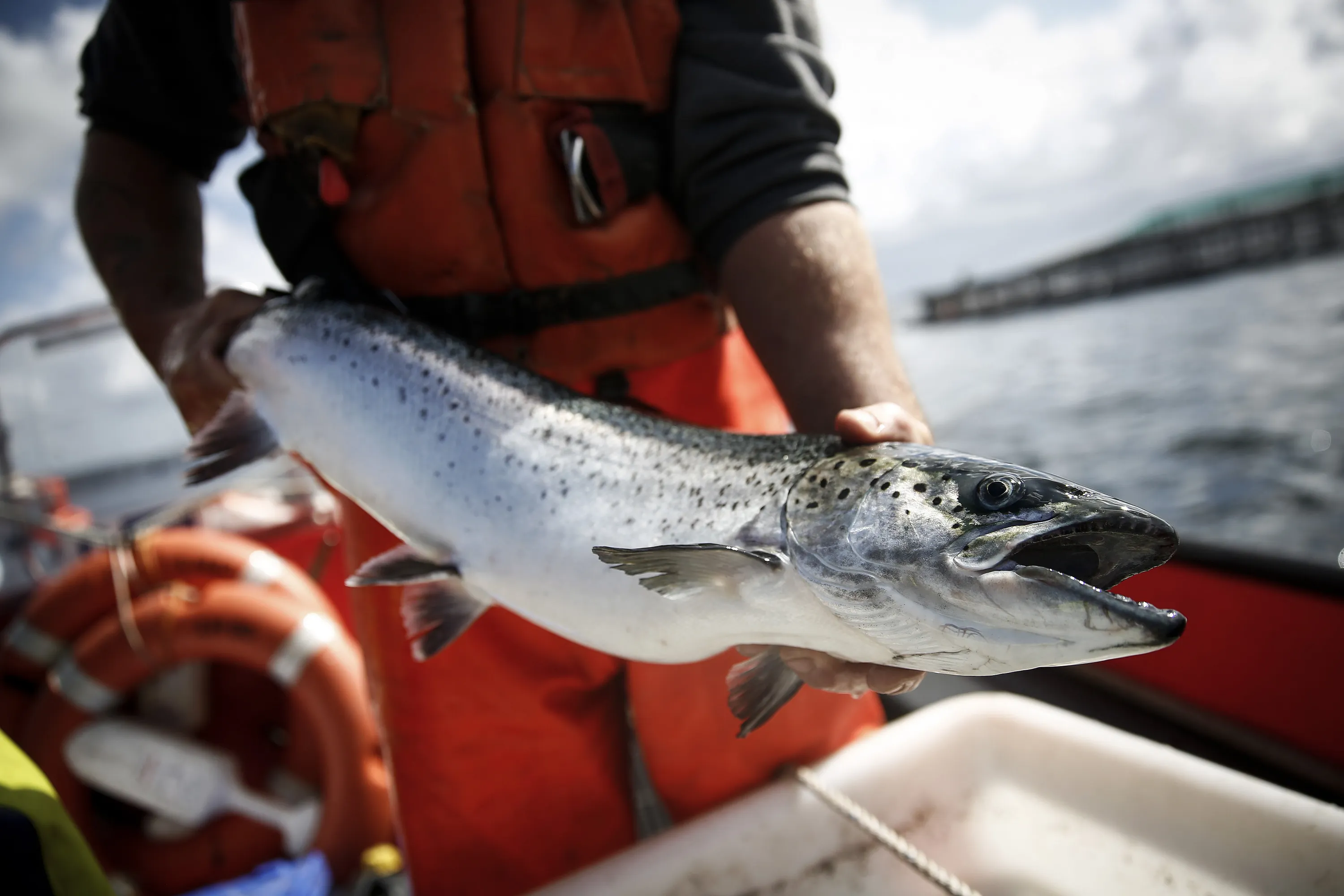 Fishing near Stornoway, on the Isle of Lewis.