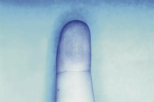 Apple IPhone Rumor Boosts Biometrics Companies