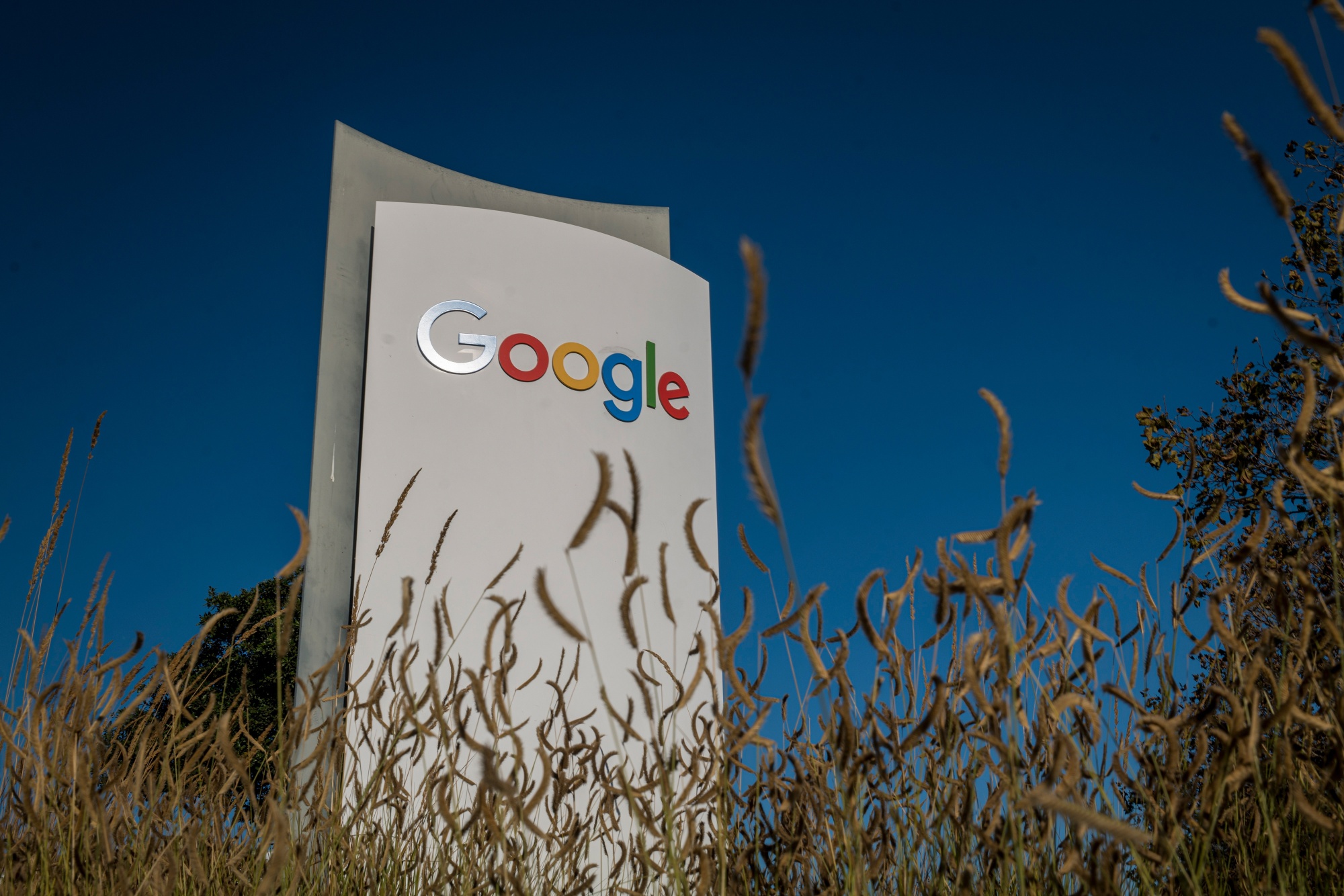 The Google campus in Mountain View, California. Photographer: David Paul Morris/Bloomberg