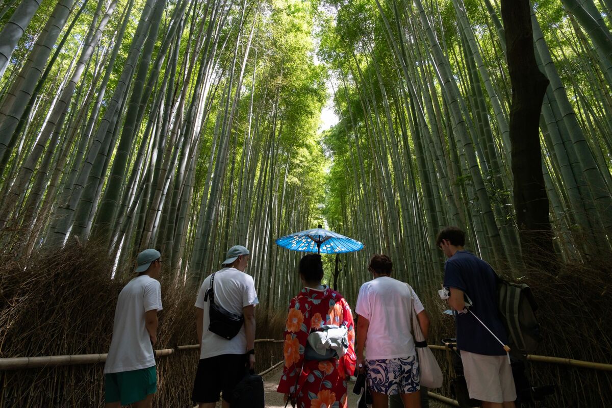 Japanese tourism stocks slump after China travel advisory