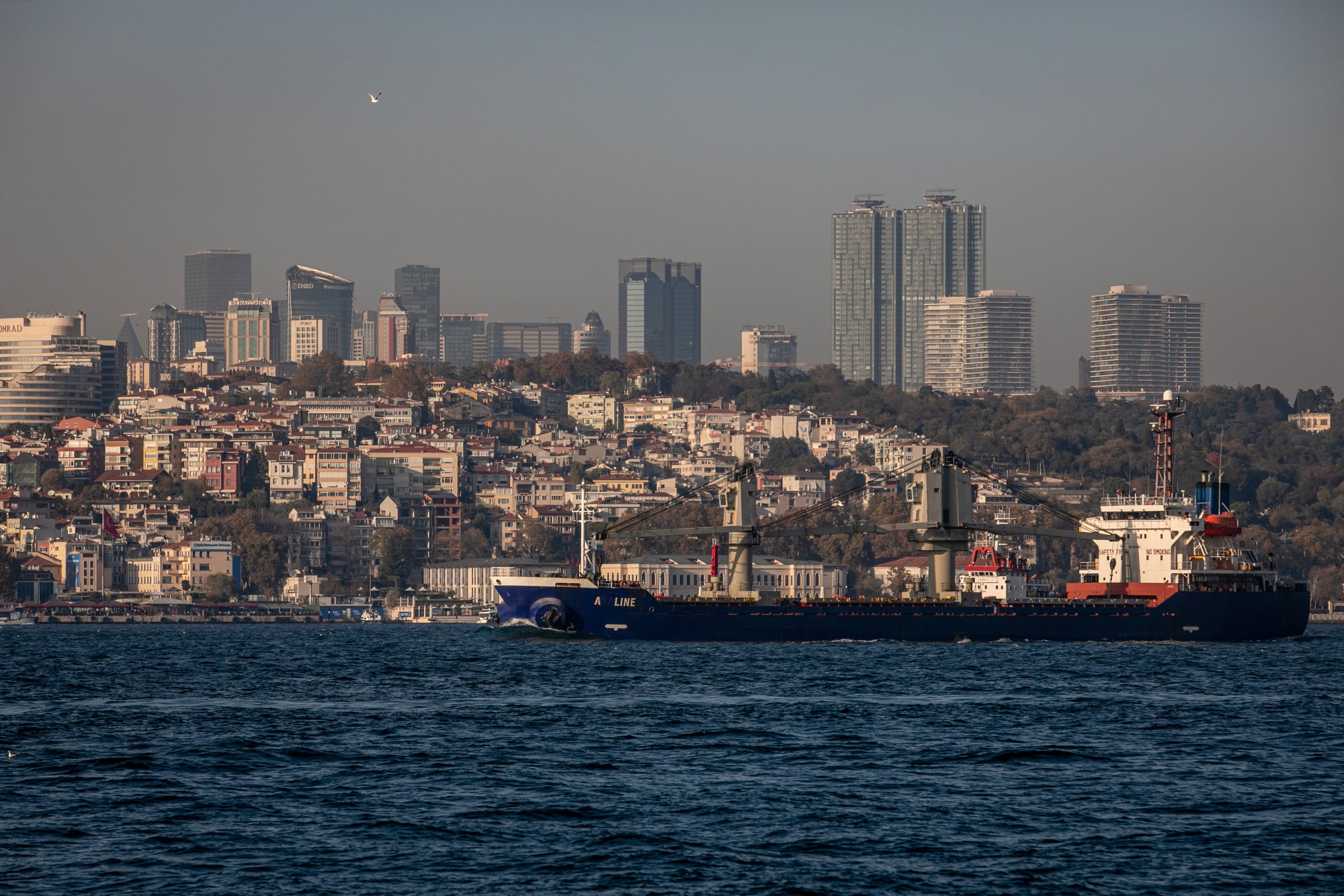 A vessel&nbsp;carrying Ukrainian wheat&nbsp;on the Bosporus Strait in Istanbul in November.