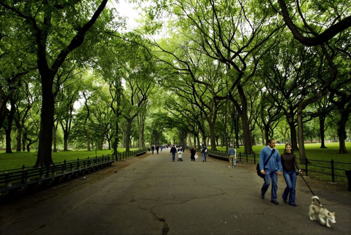 National Trust for Public Land ParkScore Rankings Leaves Out Importance