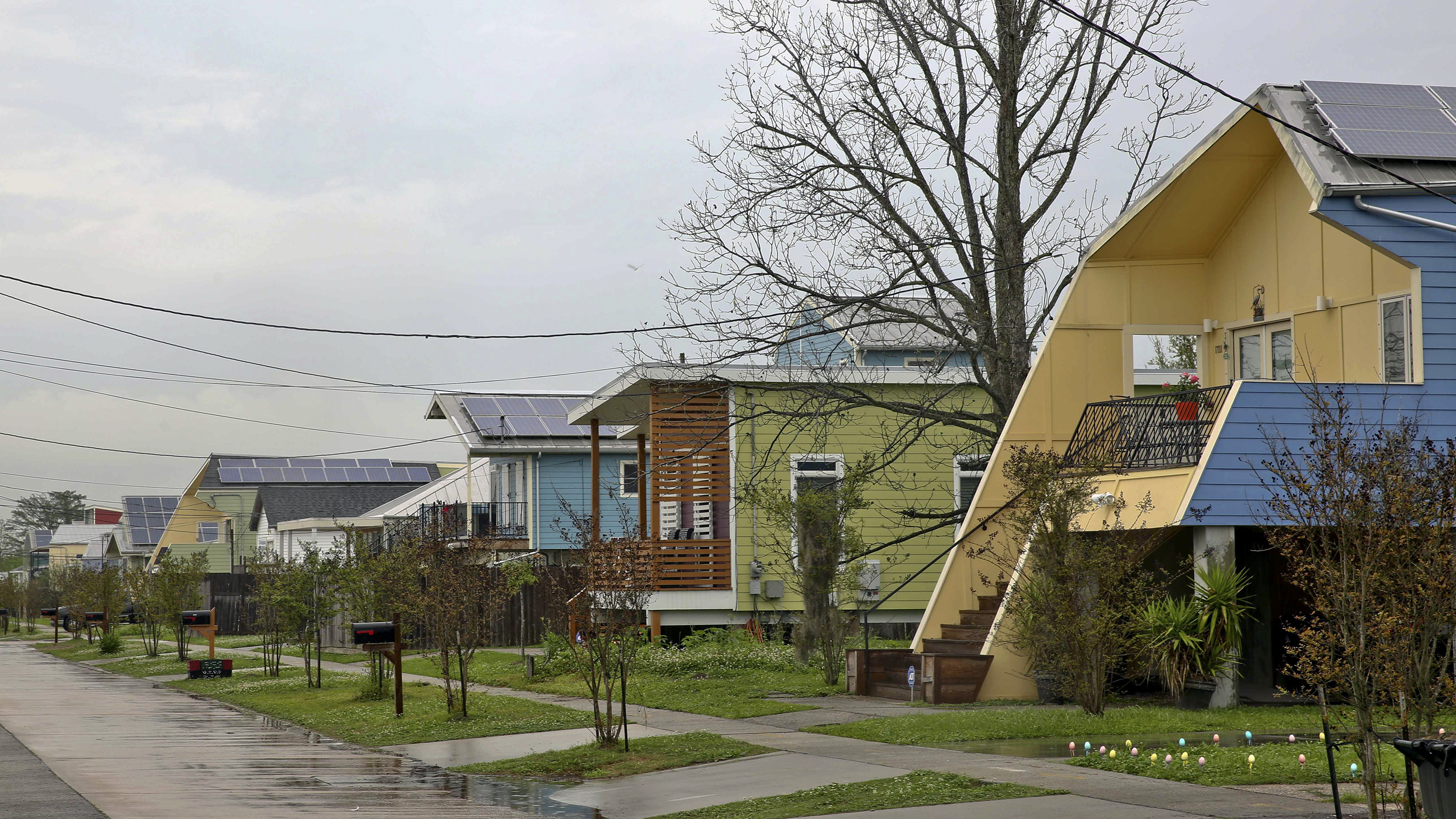 A Streetcar Named Gentrification Tracking New Orleans' Decade of