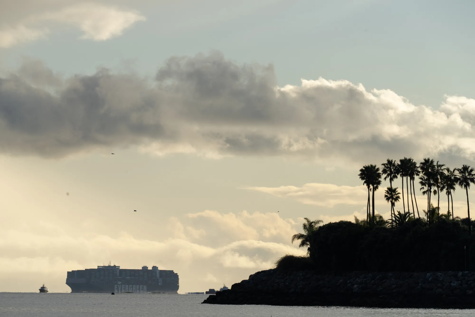 A container ship&nbsp;moored near the Port of Long Beach in Long Beach, California.