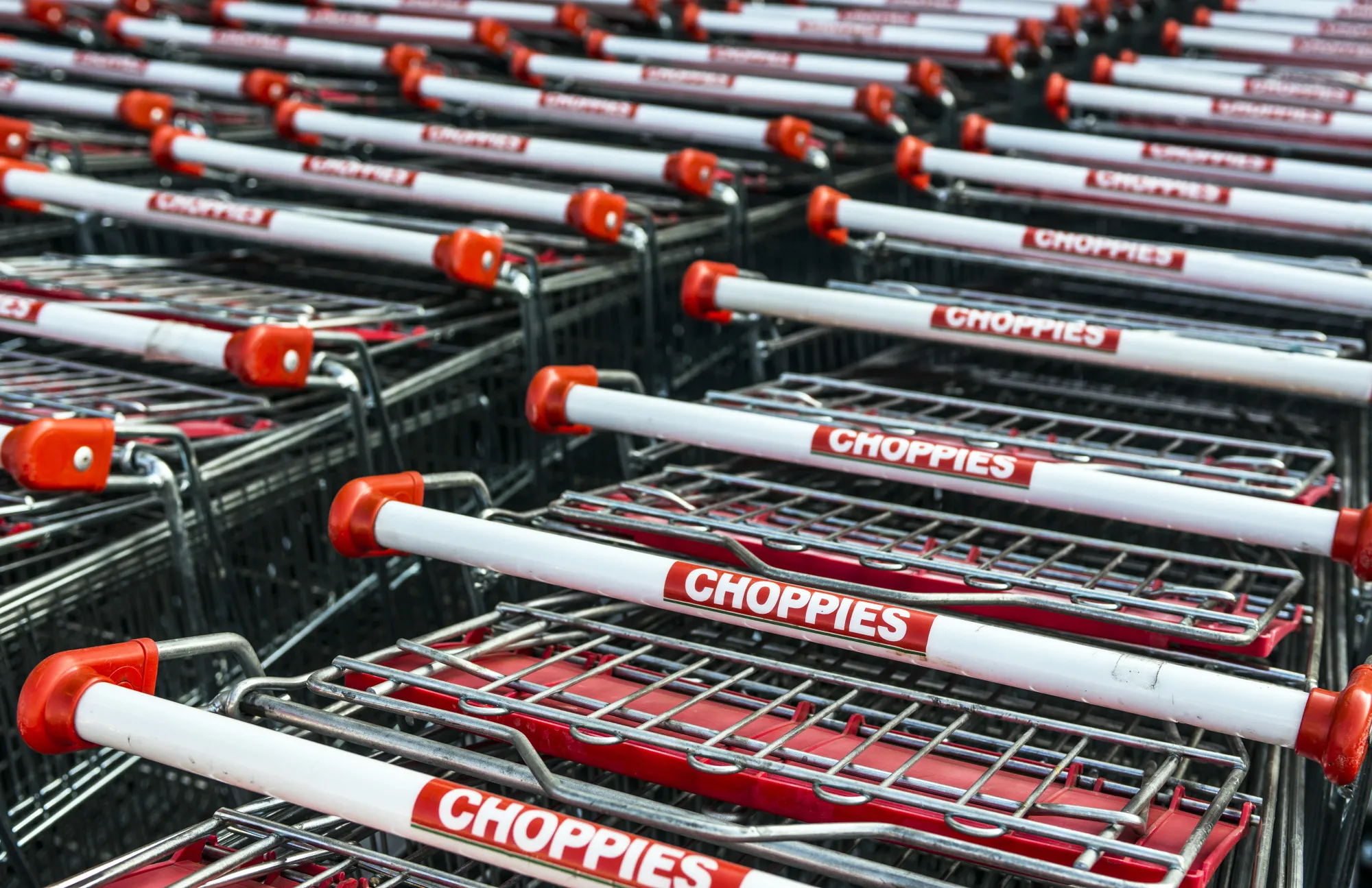A Choppies logo sits on the handle of a shopping carts.
