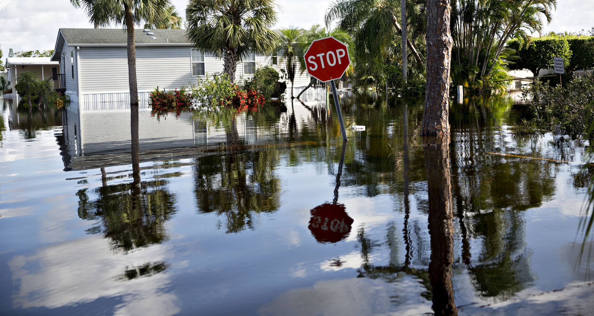 Harvey and Irma's Impact on U.S. Supplies Shown Through Charts - Bloomberg