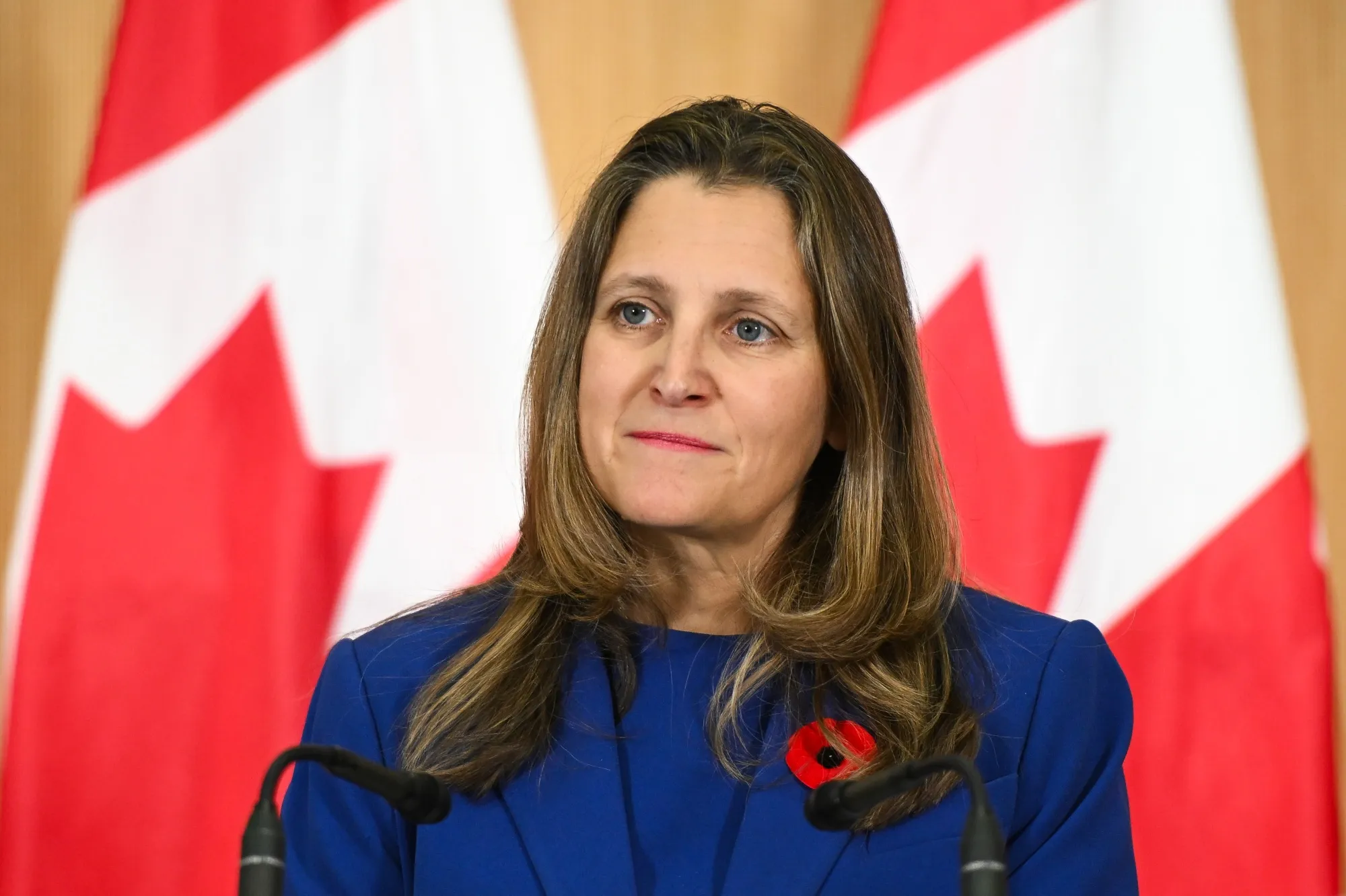 Canada s Top Pension Funds Pressured By CEOs To Invest More At Home canada-s-top-pension-funds-pressured-by-ceos-to-invest-more-at-home