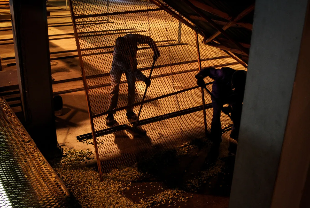 Exclusive Behind The Scenes Look At SABMiller Plc's Brewing Operations In South Africa