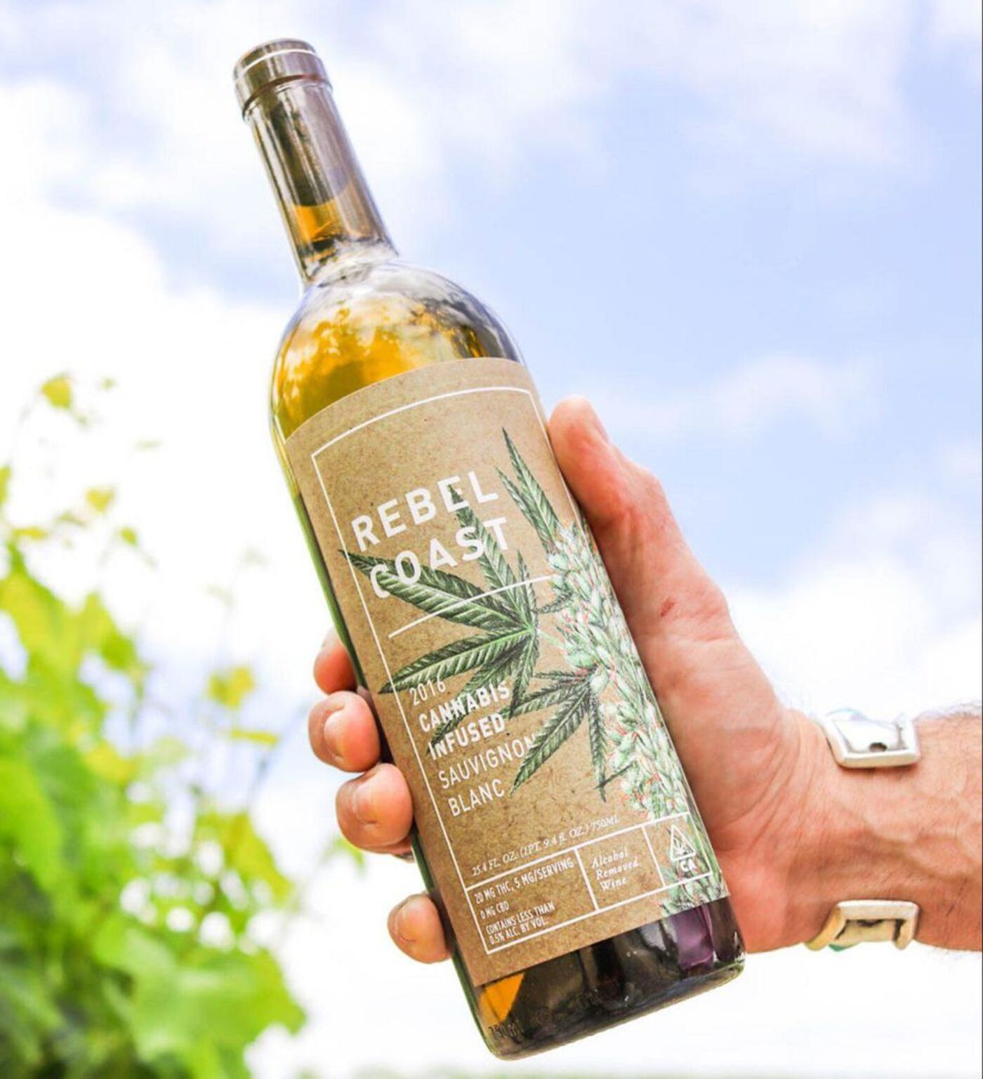 relates to Seven Ways Wine Will Change in 2019