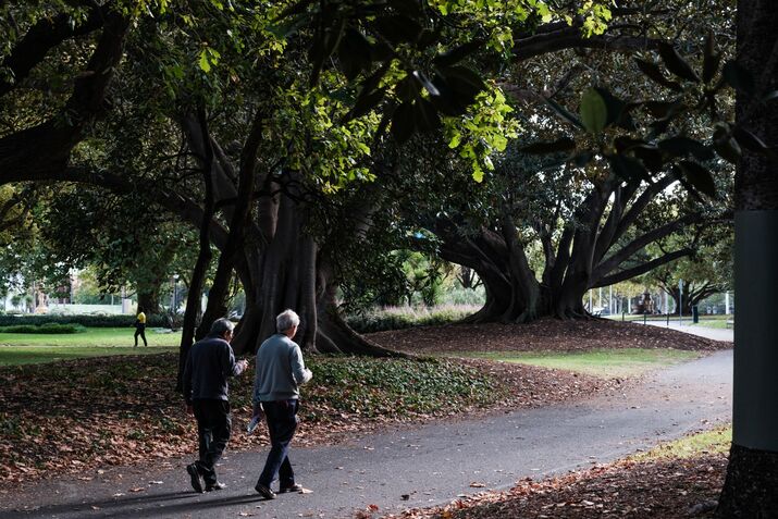Australia Has a Top Pension Program. Why Are Many Retirees Still Struggling?