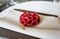 Everything about Noma's Radish Tart is fantastic, down to the seaweed crust.