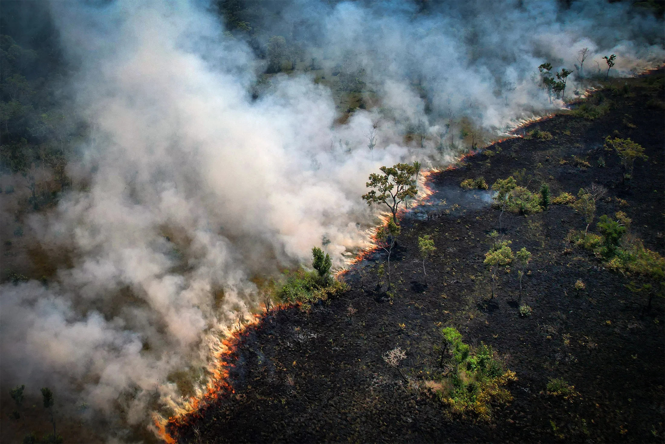 An area of the Amazon rainforest burns in&nbsp;northern Brazil&nbsp;on Aug.&nbsp;31.&nbsp;