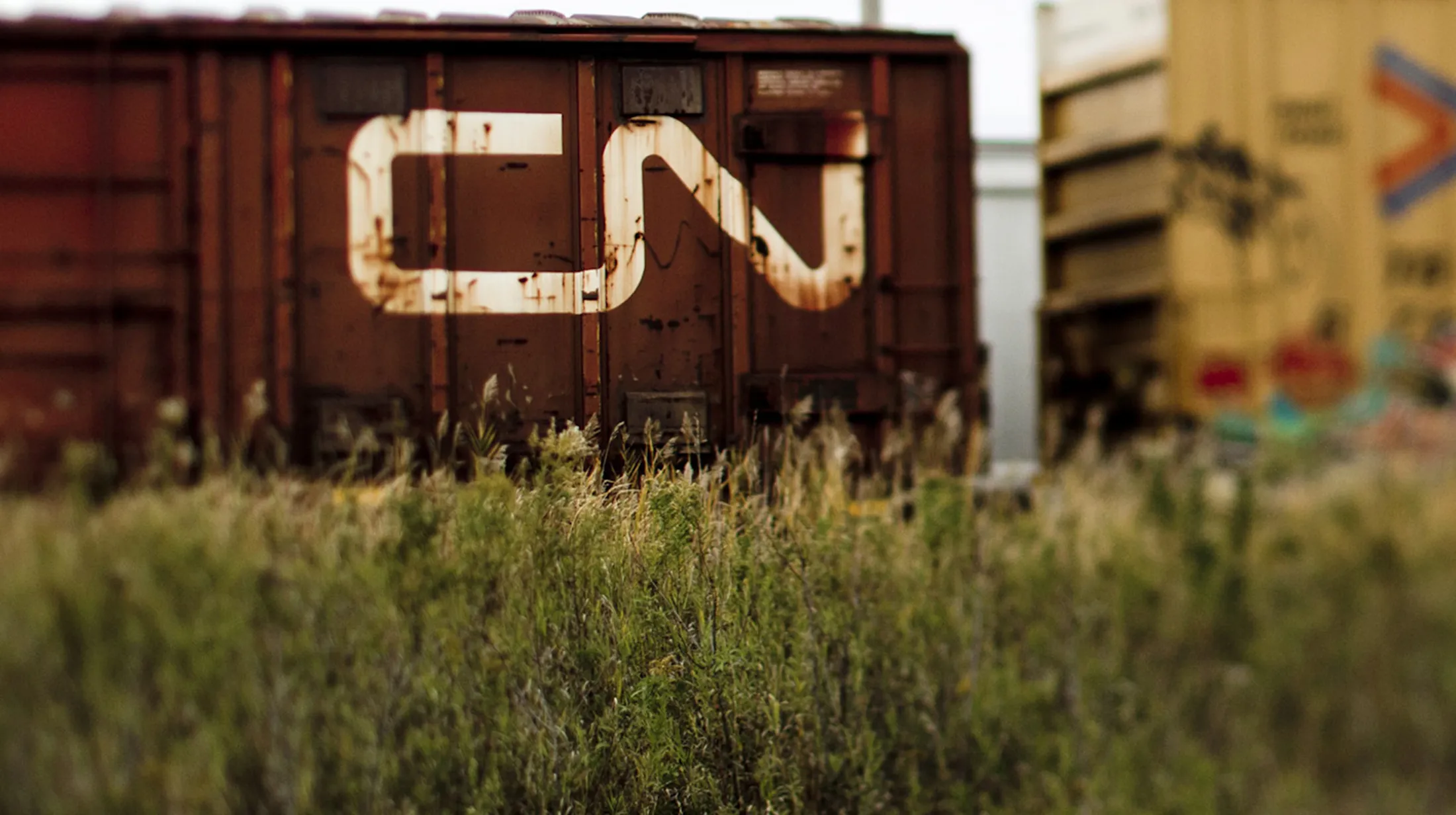 CN Rail CEO Vows Loyalty to Grain Farmers as Oil Shipments Climb