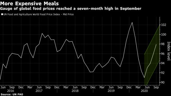 Wheat’s Drought Battle and Surging Demand: Why Prices Are Flying