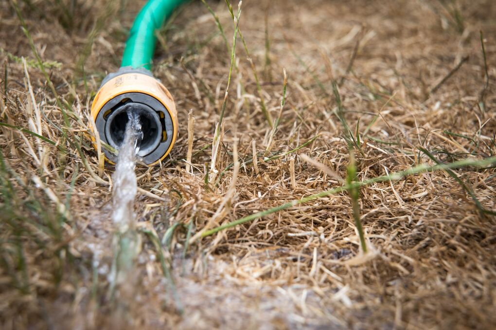 South East Water Expands Hosepipe Bans to Kent, Sussex After Dry July Bloomberg