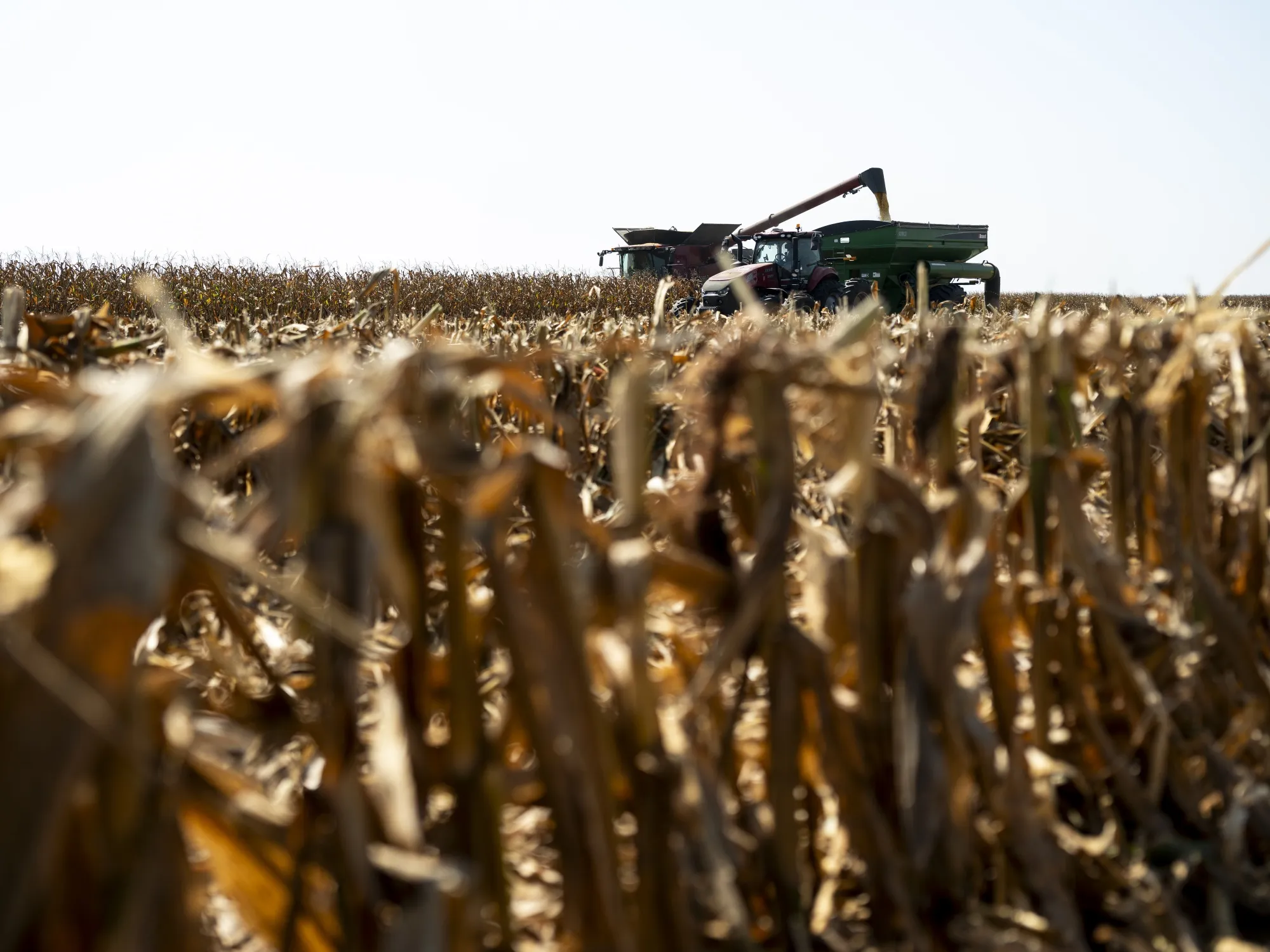 Large oil firms are urging the Trump administration&nbsp;to raise mandated amounts of&nbsp;corn ethanol or other biofuels added to gasoline and diesel.