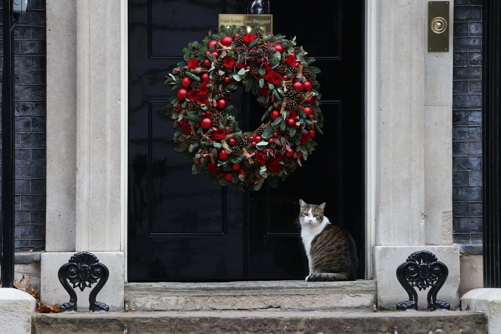 Larry might be the only one having a merry Christmas at Downing Street.
