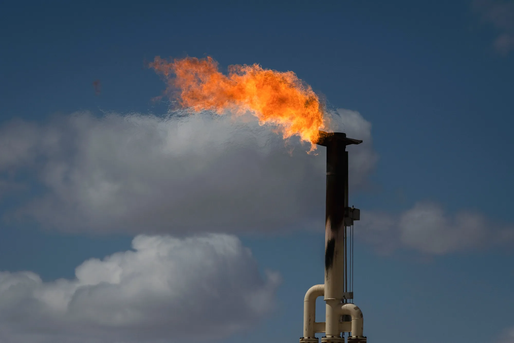 Taxpayer money up in flames.