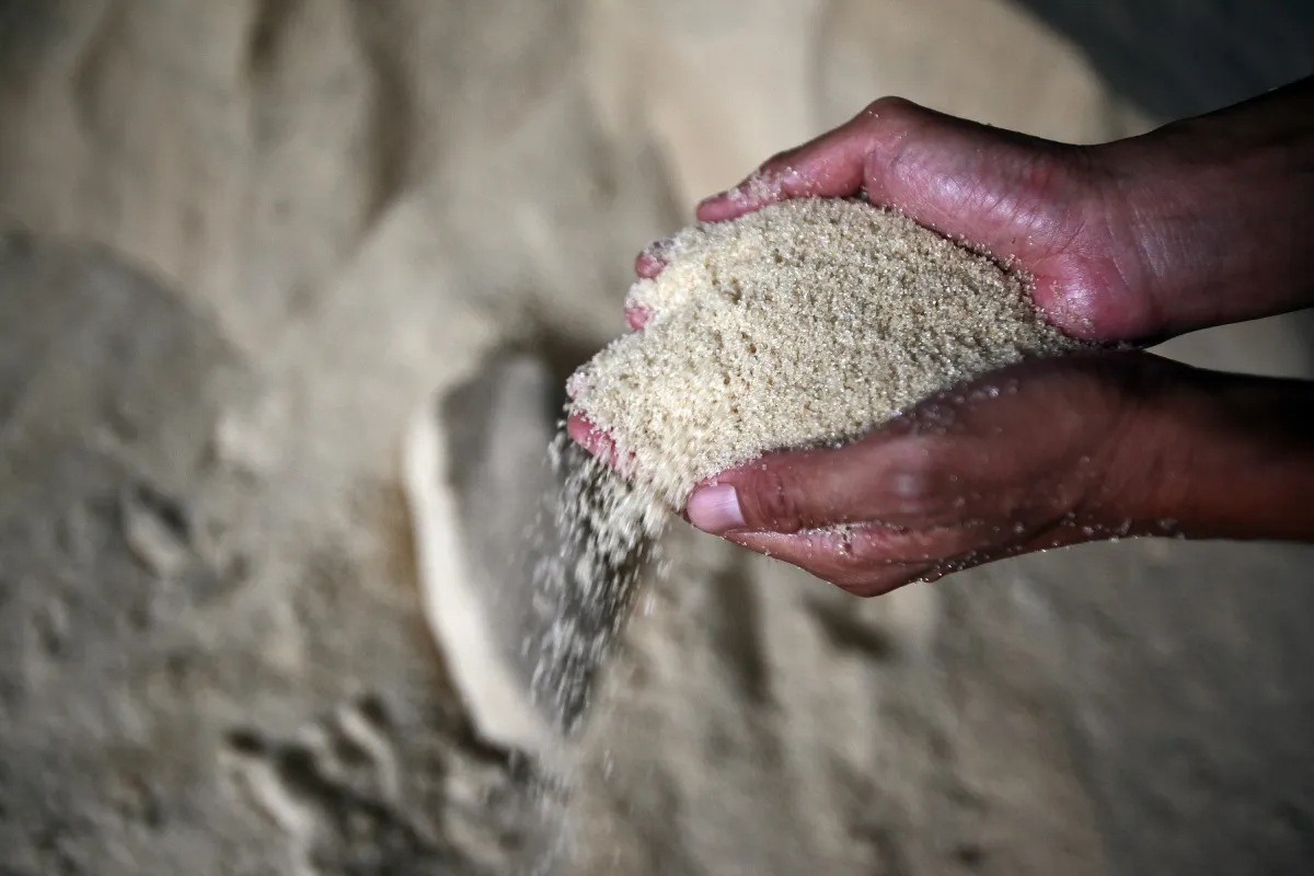 A worker displays raw sugar for a photograph at a mill in Saraburi province, north of Bangkok, Thailand, on Wednesday, May 9, 2012.&nbsp;