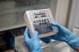 Spain Sets Up Monkeypox Testing Site As Cases on The Rise