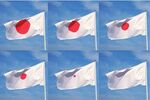 Japan's Incredible Shrinking Empire