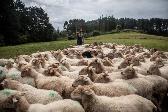 Europe Wants to Cultivate a New Generation of Sustainable Farmers