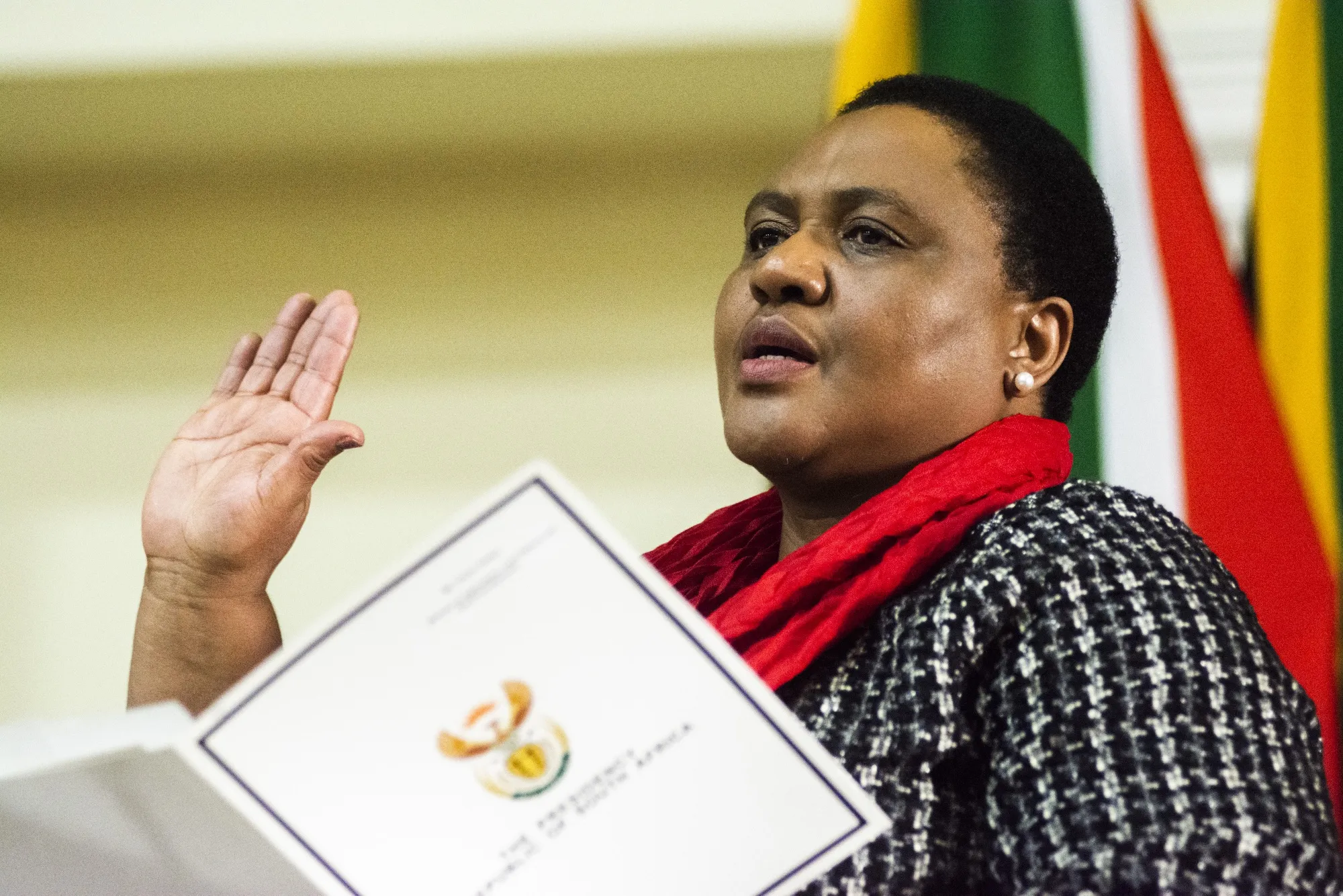 Thoko Didiza&nbsp;
