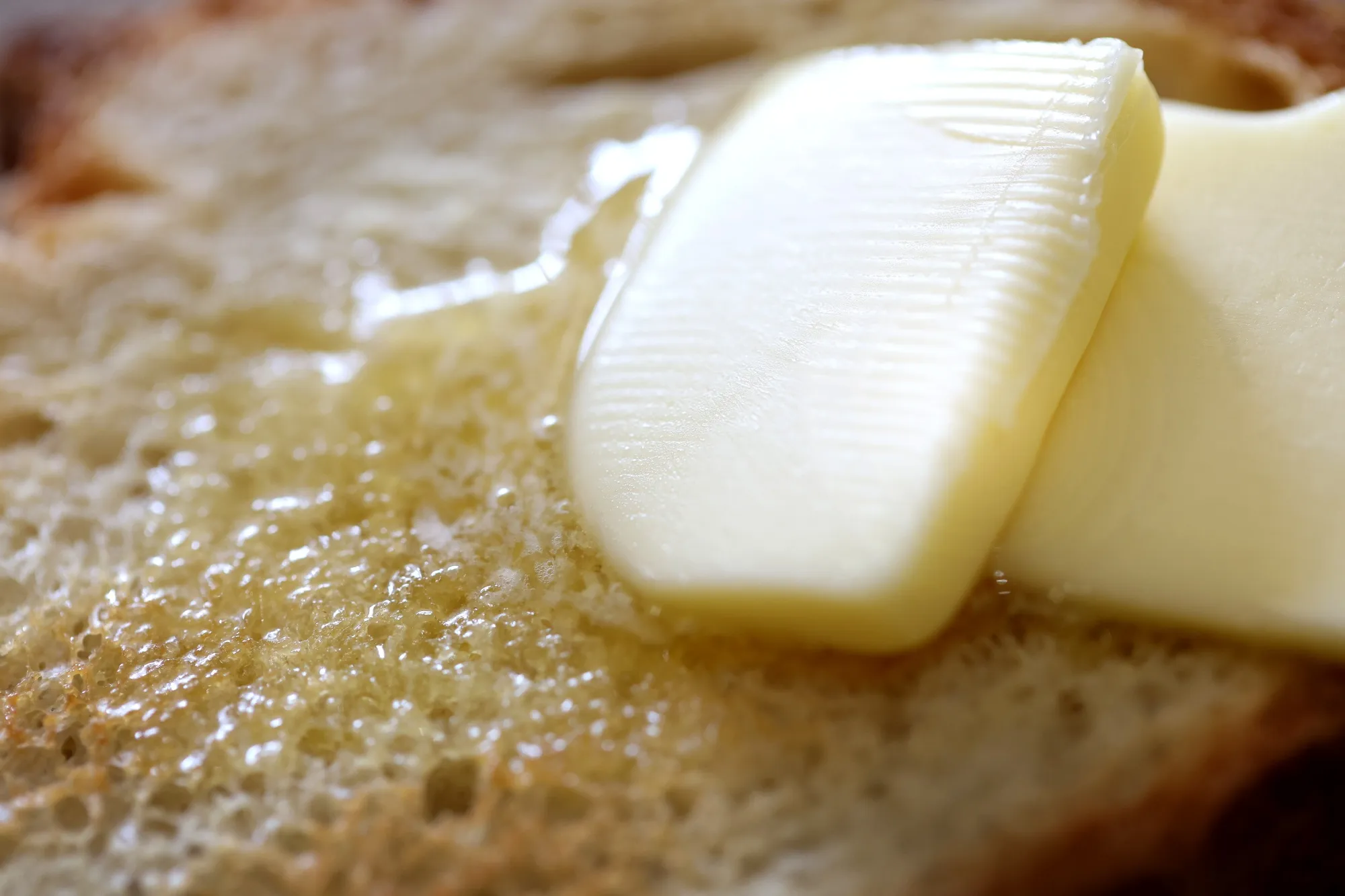 The vegan butter and cheese company is suffering from falling sales and heavy losses.
