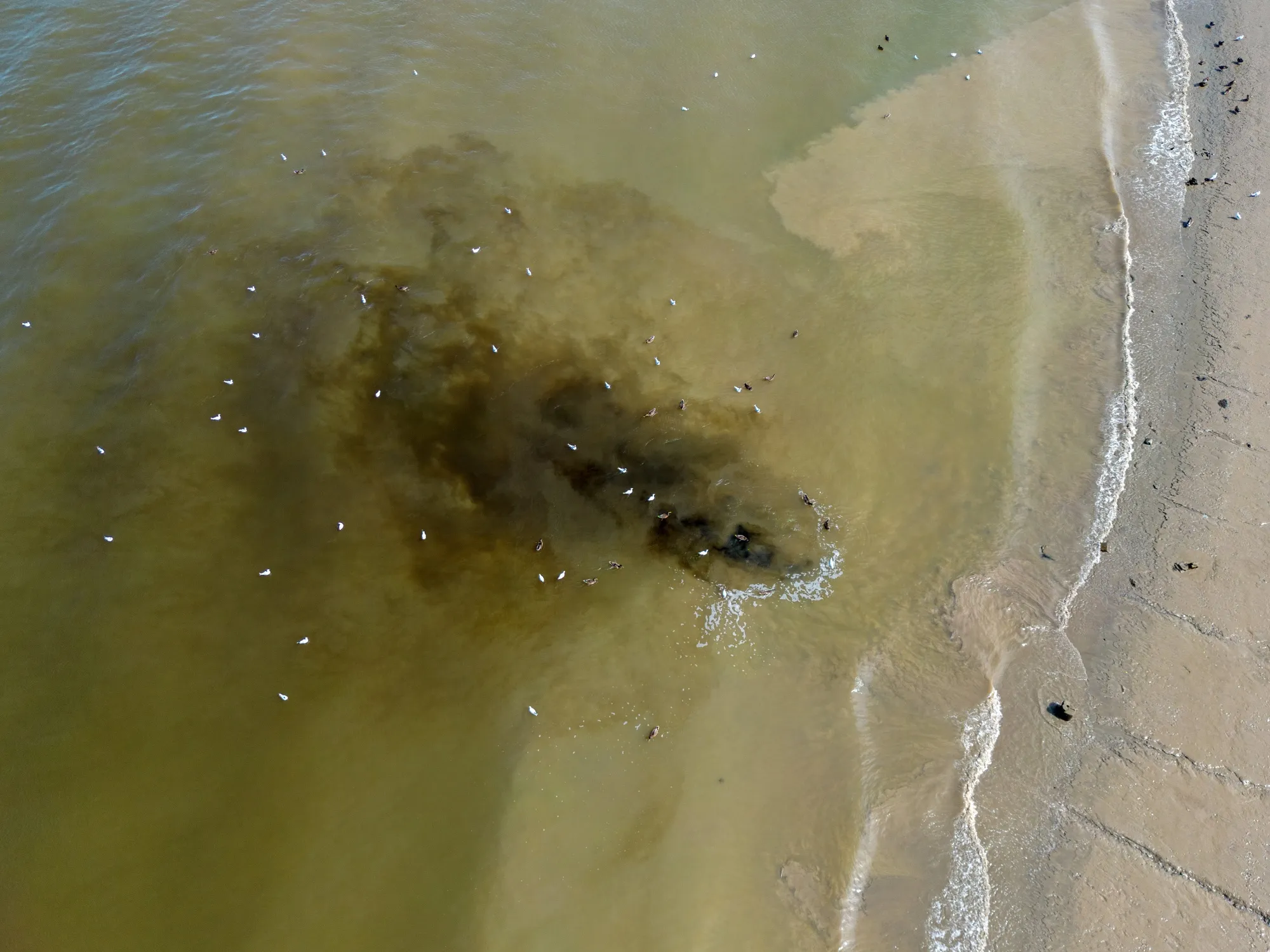 Water companies are facing widespread public anger over sewage leaks into rivers and lakes throughout Britain.