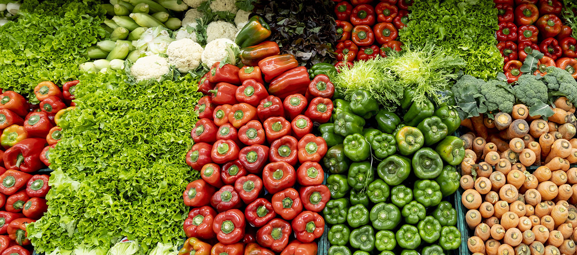 Kenya’s FreshProduce Distributor Eyes Unicorn Status in 5 Years