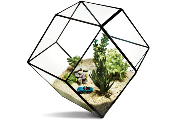 The Score + Solder Geodesic planter is 11 x 8 x 8 inches—about the size of a standard-issue volleyball. The mini bio-dome is available in three shapes: rhombus (pictured), icosidode, and dodecahedron. (Toy car not included.)