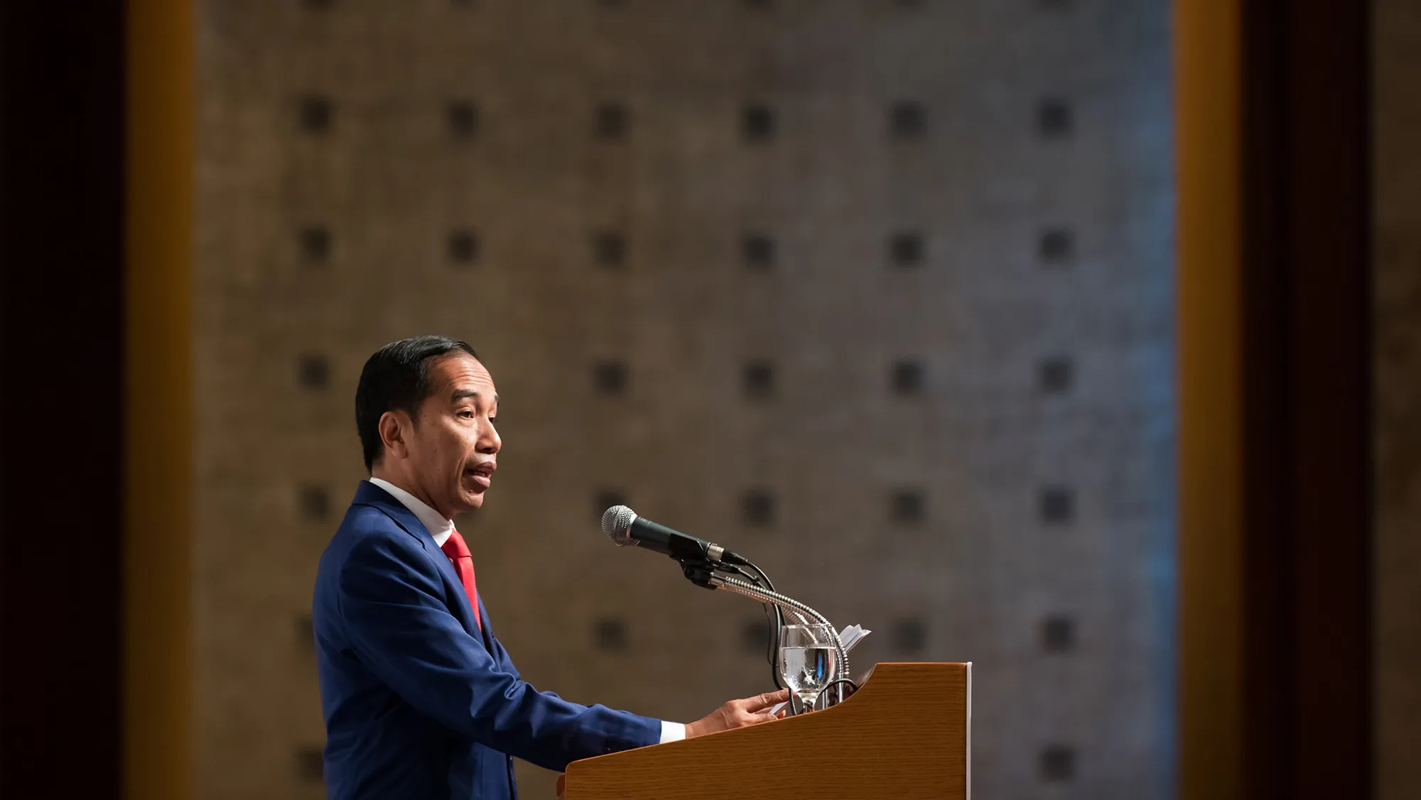 Joko Widodo&nbsp;