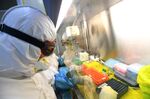A surge in reported coronavirus cases reveals a critical vulnerability in the world’s ability to combat epidemics.