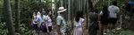 Attendees walk through a Japanese garden during a cultural experience program, part of Mitsubishi UFJ Financial Group Inc.'s (MUFG) Global Analyst Program for training top graduates, at the Happo-en garden in Tokyo, Japan, on Monday, July 17, 2017.
