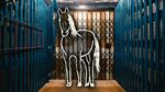 One Last Ride in a NYC Horse Elevator