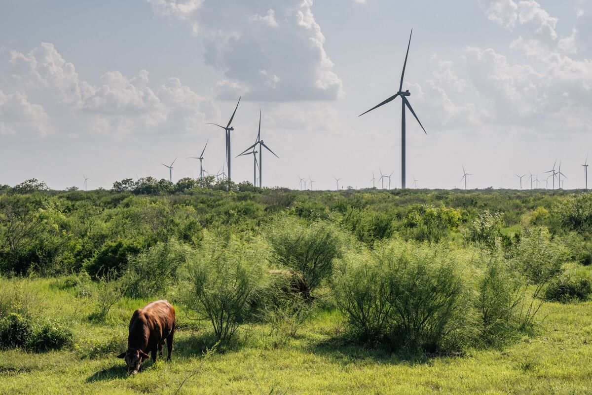 Texas Bill Tries To Fence In Booming Renewables Sector - Bloomberg