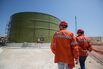 Italy's $5.2 Billion Natural Gas Pipeline Held Up by Olive Trees
