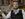 Ragnar Kjartansson on 'Brilliant Ideas' | Episode 48