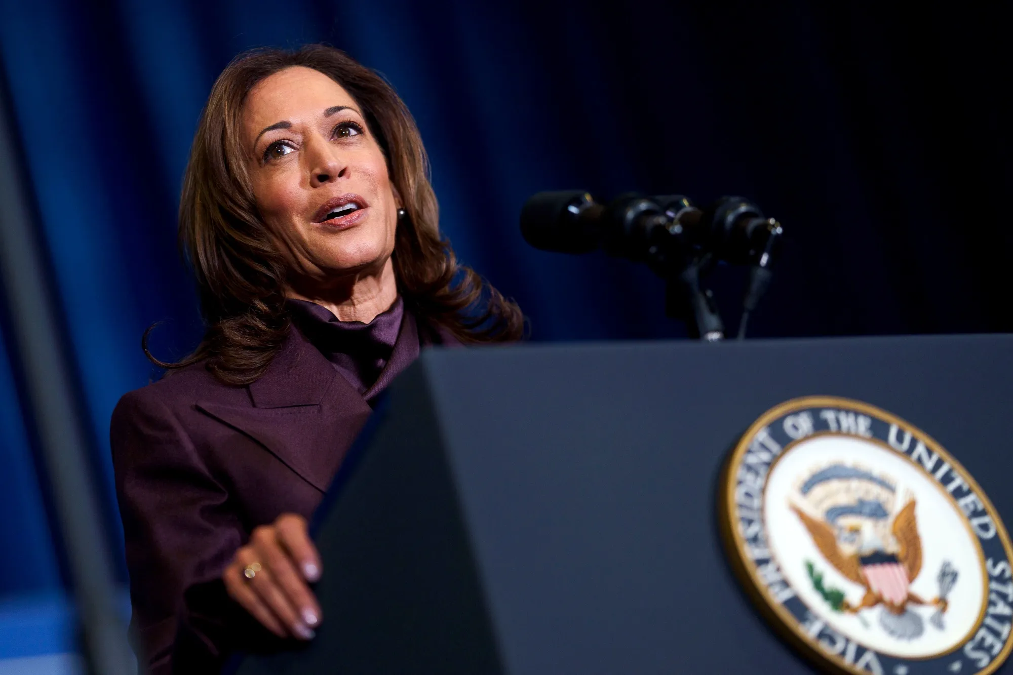 Former&nbsp;Vice President Kamala Harris speaks at the Department of the Interior in Washington, DC in December of 2024.
