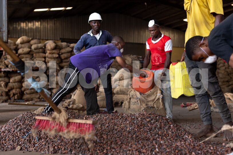 Chocolate and Cosmetics Face Price Jolt From Cocoa Supply Chain Law