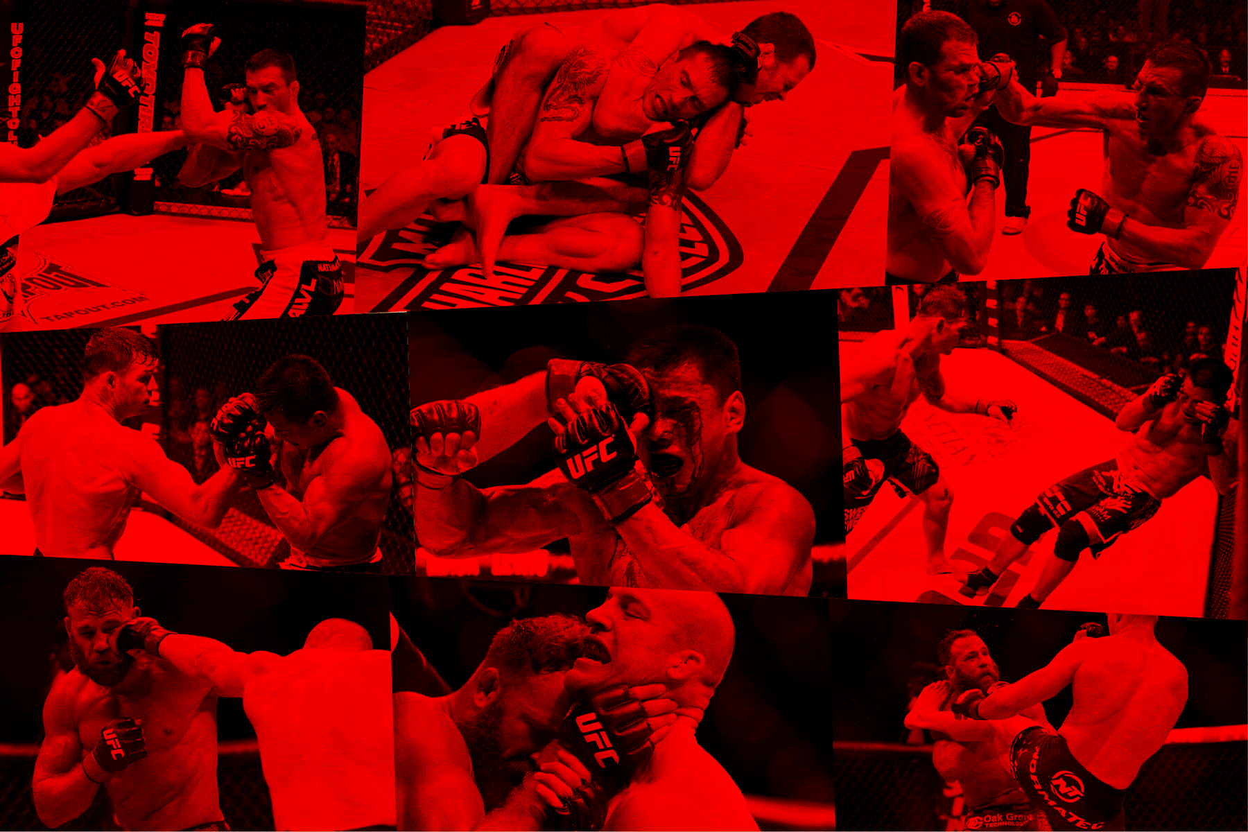 UFC bouts featuring (from top) Nate Quarry, Cung Le, and Kyle Kingsbury.