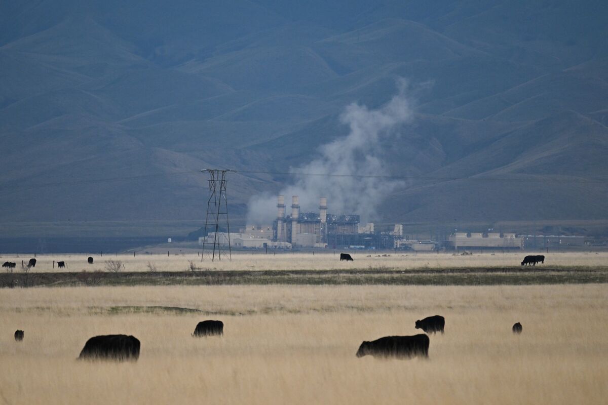 bloomberg.com - Julian Hast - Why US Gas Is Shrugging Off Record Heat